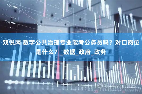 双悦网 数字公共治理专业能考公务员吗？对口岗位是什么？_数据_政府_政务