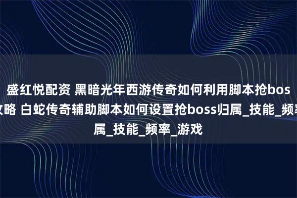 盛红悦配资 黑暗光年西游传奇如何利用脚本抢boss归属攻略 白蛇传奇辅助脚本如何设置抢boss归属_技能_频率_游戏