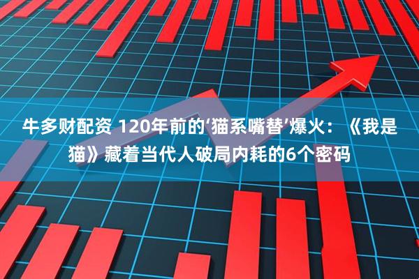 牛多财配资 120年前的‘猫系嘴替’爆火:《我是猫》藏着当代人破局内耗的6个密码