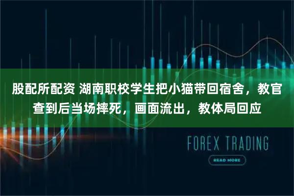 股配所配资 湖南职校学生把小猫带回宿舍,教官查到后当场摔死,画面流出,教体局回应