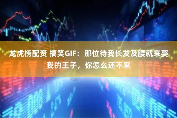 龙虎榜配资 搞笑GIF：那位待我长发及腰就来娶我的王子，你怎么还不来